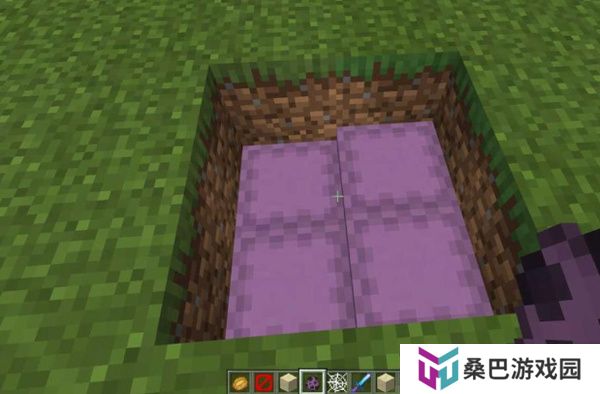 我的世界v1.21.80.20