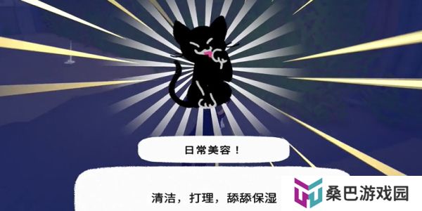 小猫咪大城市